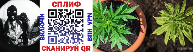 Бошки марихуана LSD WEED Верея